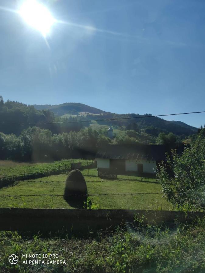 Cabana Ioana Munună 외부 사진